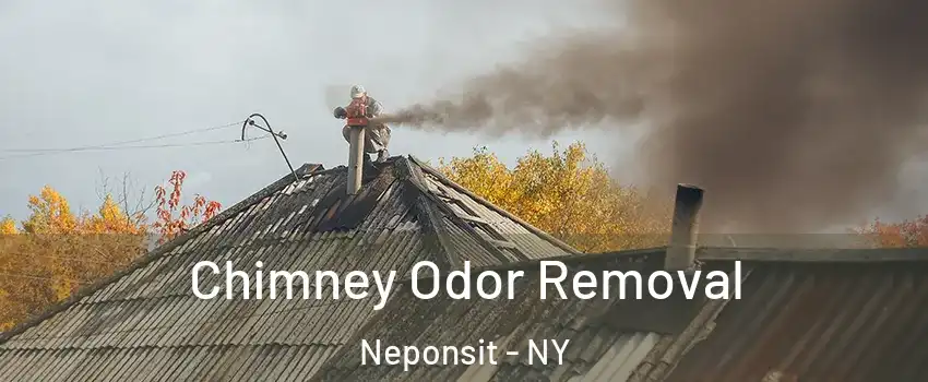 Chimney Odor Removal Neponsit - NY