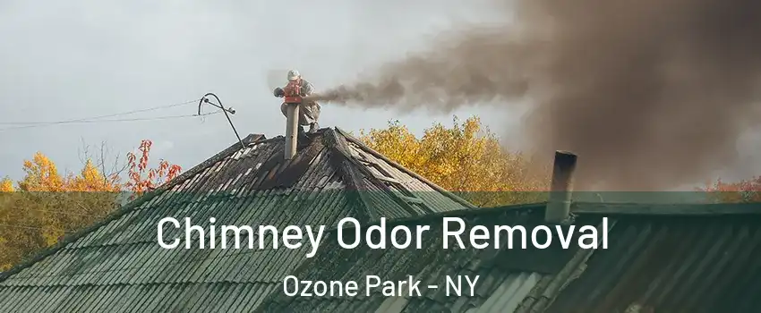 Chimney Odor Removal Ozone Park - NY