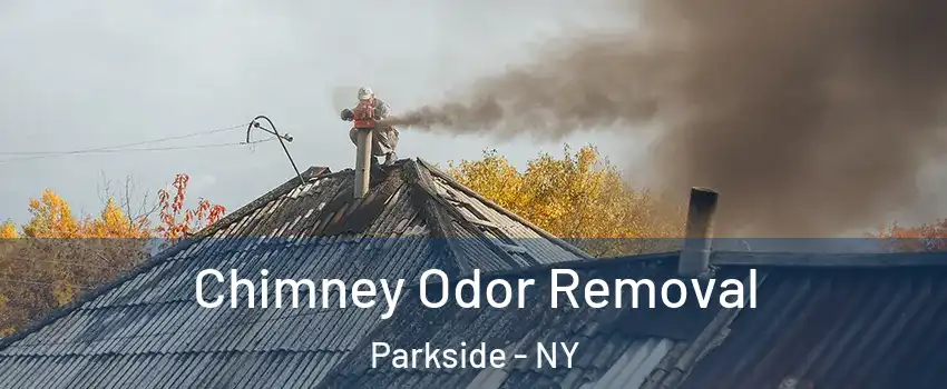 Chimney Odor Removal Parkside - NY