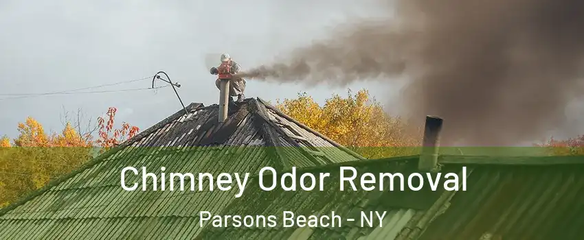 Chimney Odor Removal Parsons Beach - NY