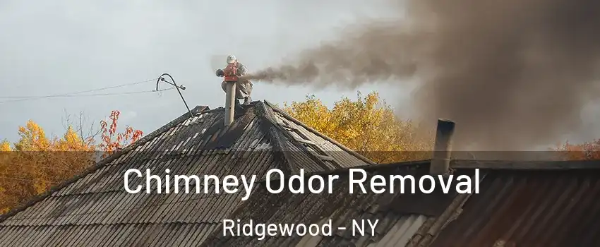 Chimney Odor Removal Ridgewood - NY