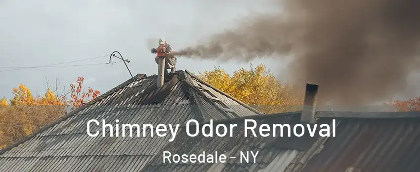 Chimney Odor Removal Rosedale - NY