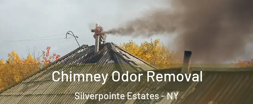 Chimney Odor Removal Silverpointe Estates - NY