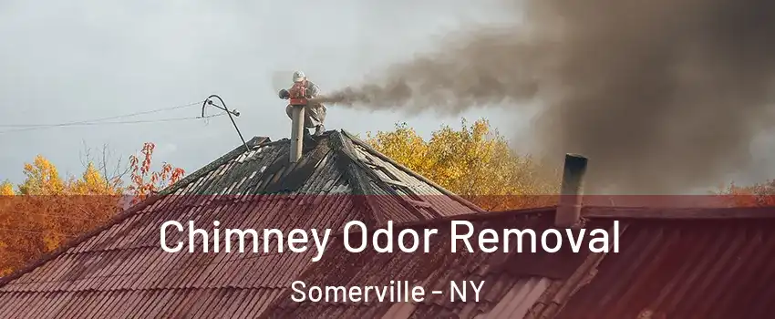 Chimney Odor Removal Somerville - NY