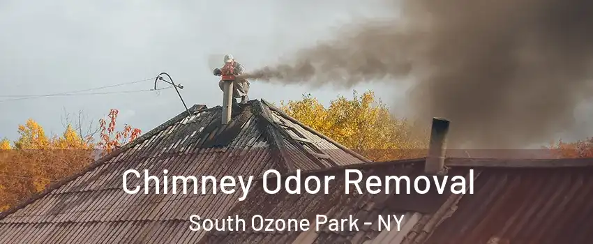 Chimney Odor Removal South Ozone Park - NY