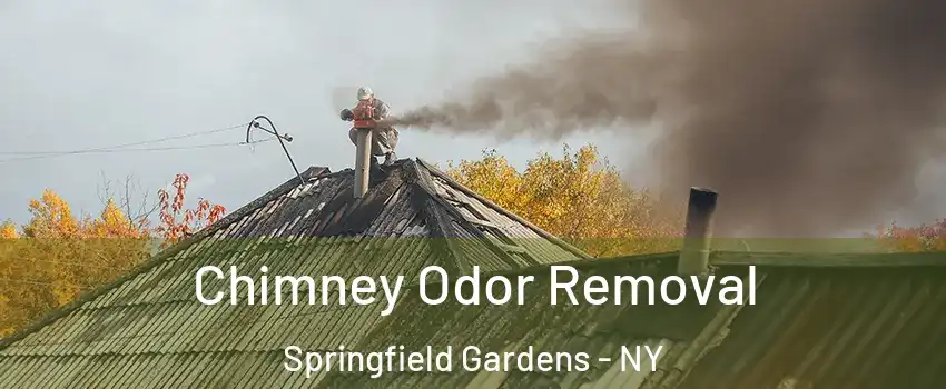 Chimney Odor Removal Springfield Gardens - NY