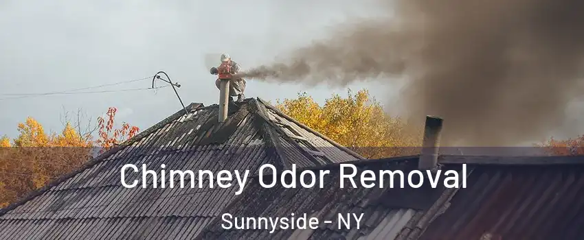 Chimney Odor Removal Sunnyside - NY
