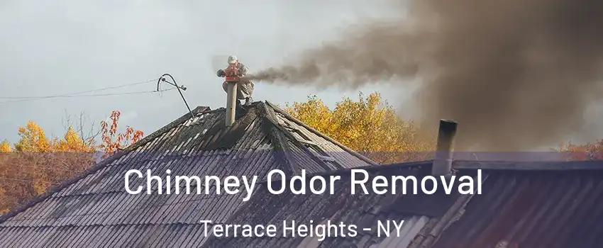 Chimney Odor Removal Terrace Heights - NY