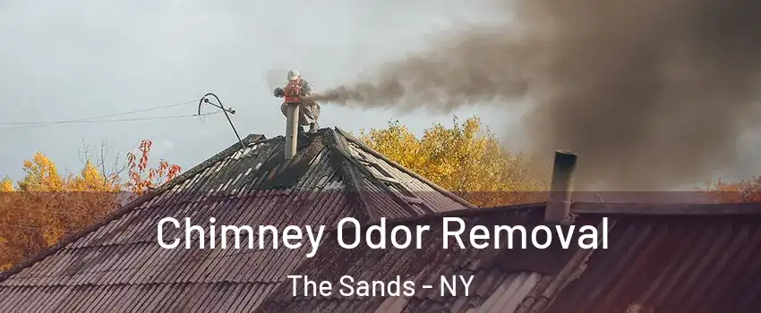 Chimney Odor Removal The Sands - NY