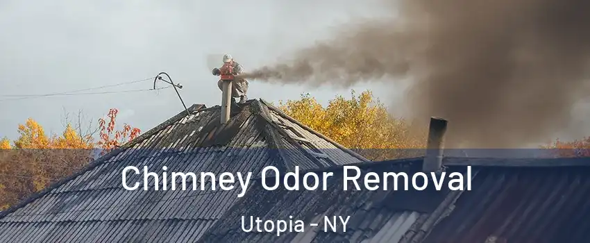 Chimney Odor Removal Utopia - NY
