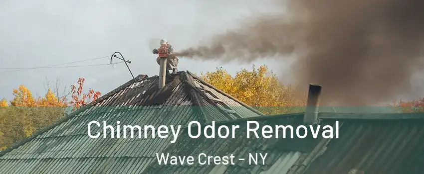 Chimney Odor Removal Wave Crest - NY
