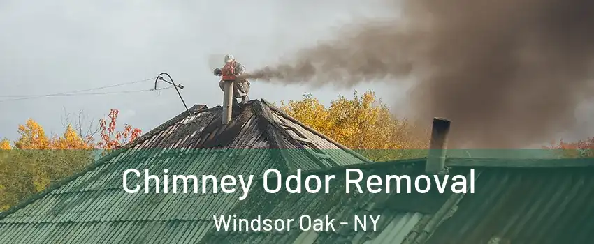 Chimney Odor Removal Windsor Oak - NY