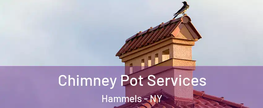 Chimney Pot Services Hammels - NY