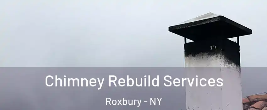 Chimney Rebuild Services Roxbury - NY