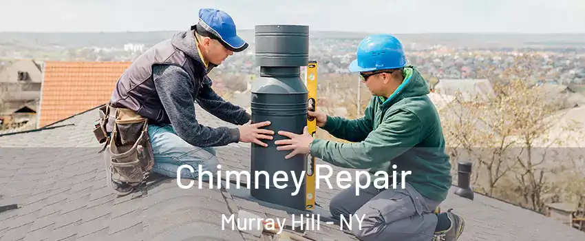 Chimney Repair Murray Hill - NY