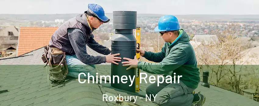 Chimney Repair Roxbury - NY