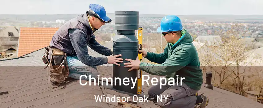 Chimney Repair Windsor Oak - NY
