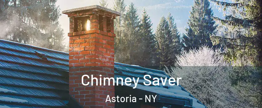 Chimney Saver Astoria - NY