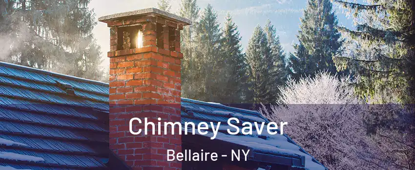 Chimney Saver Bellaire - NY
