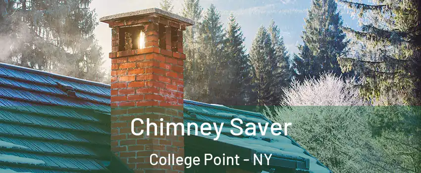 Chimney Saver College Point - NY