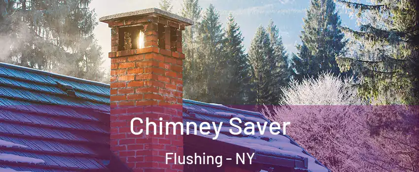 Chimney Saver Flushing - NY