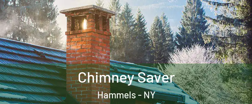 Chimney Saver Hammels - NY
