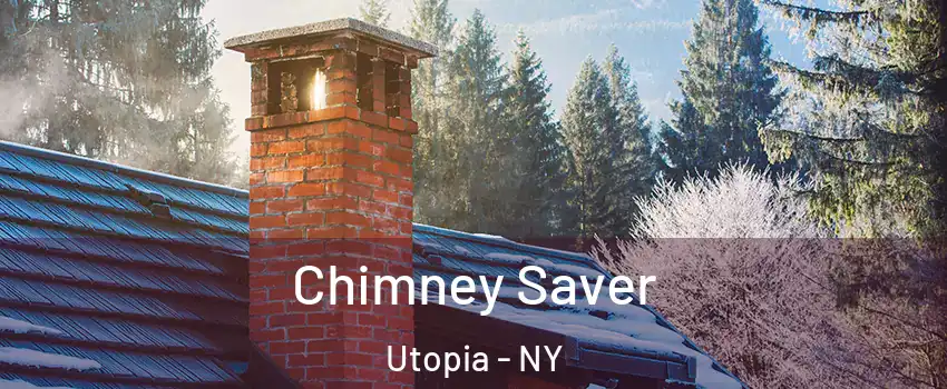 Chimney Saver Utopia - NY