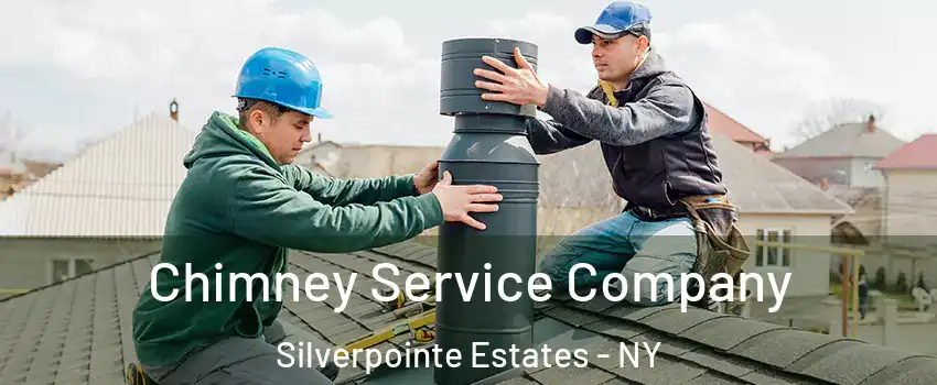 Chimney Service Company Silverpointe Estates - NY