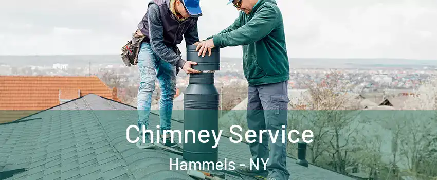 Chimney Service Hammels - NY