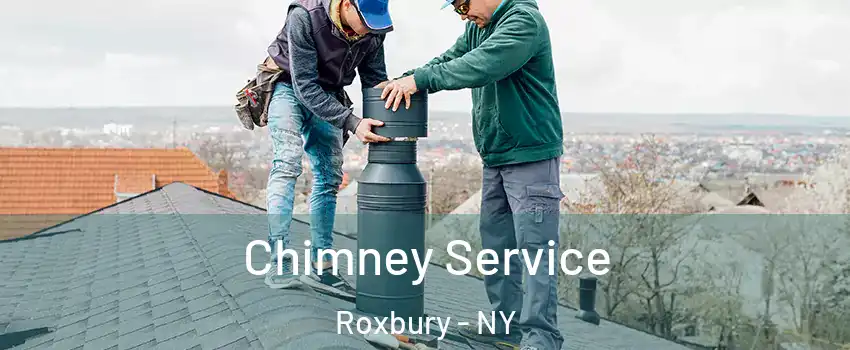 Chimney Service Roxbury - NY