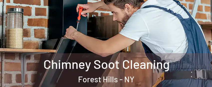 Chimney Soot Cleaning Forest Hills - NY