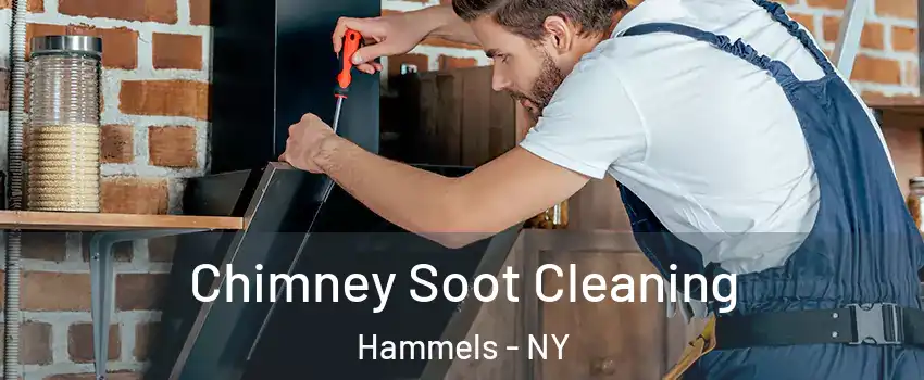 Chimney Soot Cleaning Hammels - NY