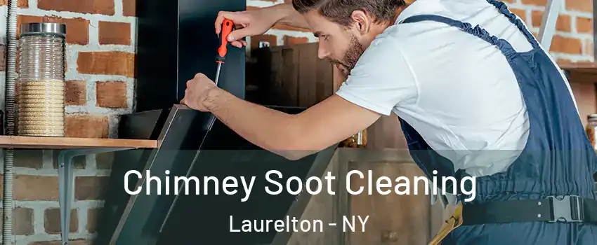 Chimney Soot Cleaning Laurelton - NY