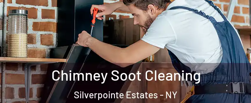Chimney Soot Cleaning Silverpointe Estates - NY