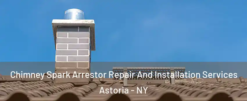 Chimney Spark Arrestor Repair And Installation Services Astoria - NY