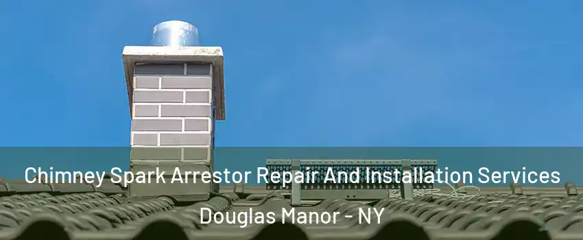 Chimney Spark Arrestor Repair And Installation Services Douglas Manor - NY