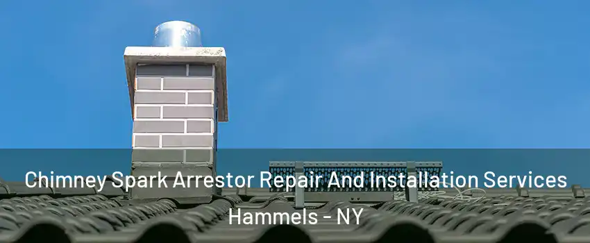Chimney Spark Arrestor Repair And Installation Services Hammels - NY