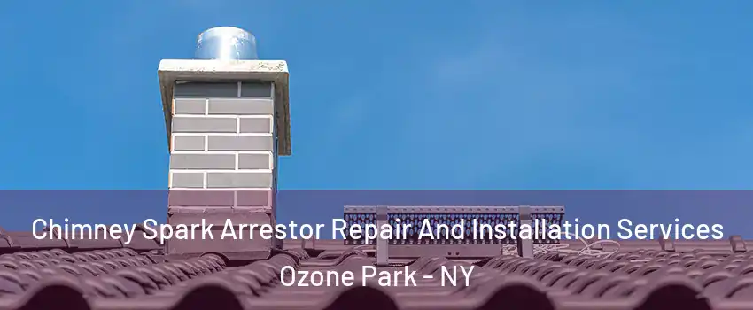 Chimney Spark Arrestor Repair And Installation Services Ozone Park - NY