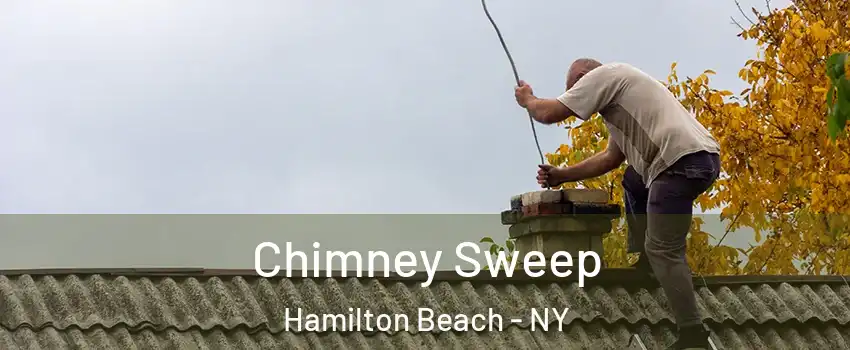 Chimney Sweep Hamilton Beach - NY