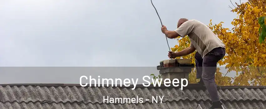 Chimney Sweep Hammels - NY