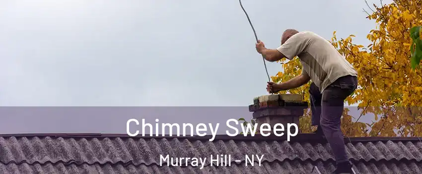 Chimney Sweep Murray Hill - NY