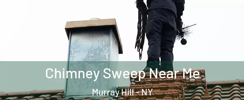 Chimney Sweep Near Me Murray Hill - NY