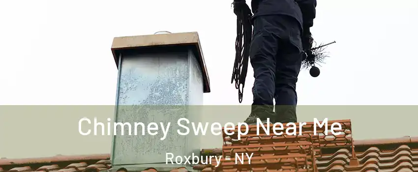 Chimney Sweep Near Me Roxbury - NY