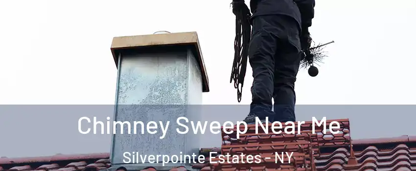 Chimney Sweep Near Me Silverpointe Estates - NY