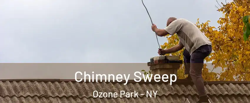Chimney Sweep Ozone Park - NY