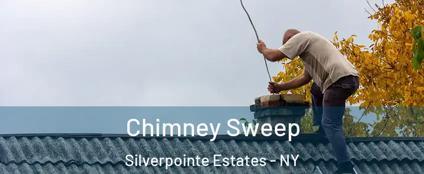 Chimney Sweep Silverpointe Estates - NY