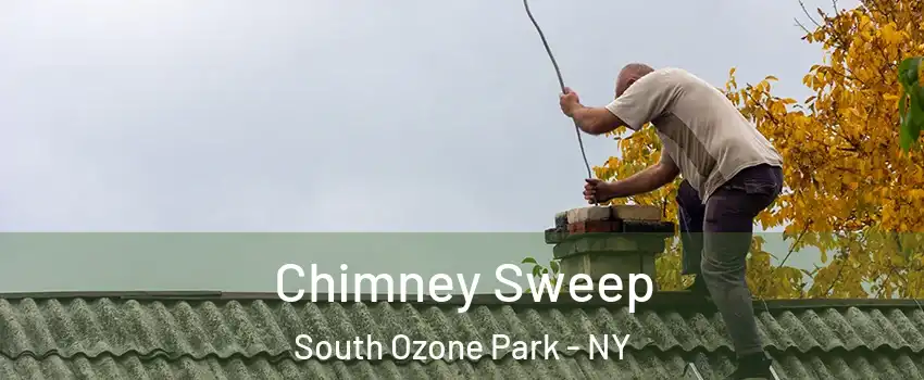 Chimney Sweep South Ozone Park - NY