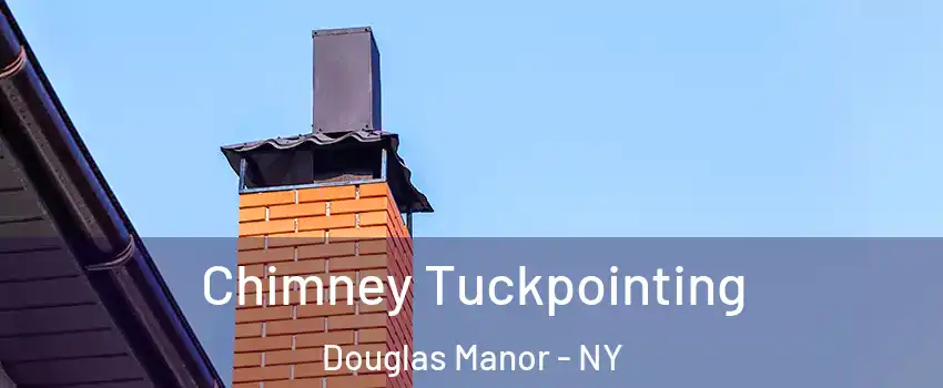 Chimney Tuckpointing Douglas Manor - NY