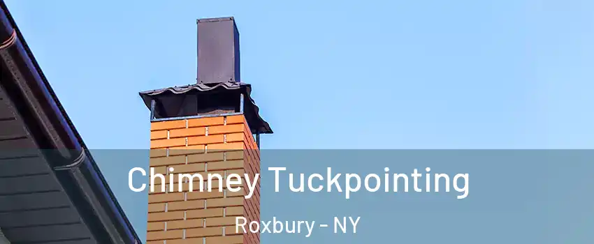 Chimney Tuckpointing Roxbury - NY