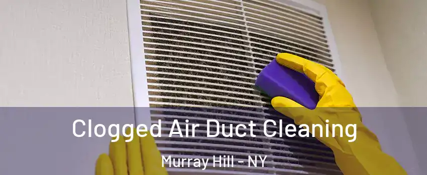 Clogged Air Duct Cleaning Murray Hill - NY